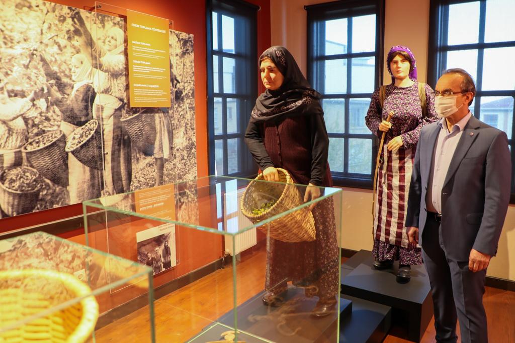 Vali Yavuz, Fındığın Öyküsü Müzesi’nde İncelemelerde Bulundu